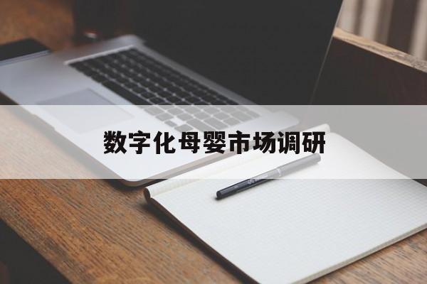太原市数字化母婴市场调研(数字化母婴市场调研报告)